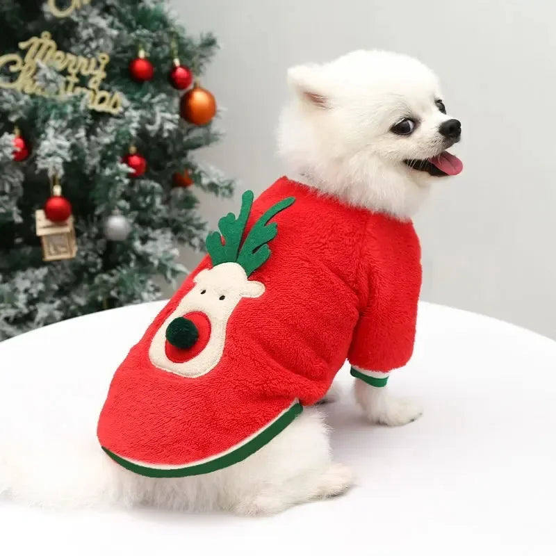 Tenue de Noël pour petits et moyens chiens – Douceur festive