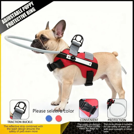 Harnais Halo pour Chien Aveugle – Protection Anti-Collision