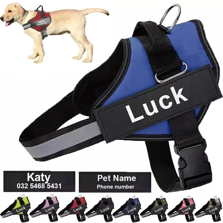 Harnais Gilet Personnalisable pour Chien – Son harnais, son identité