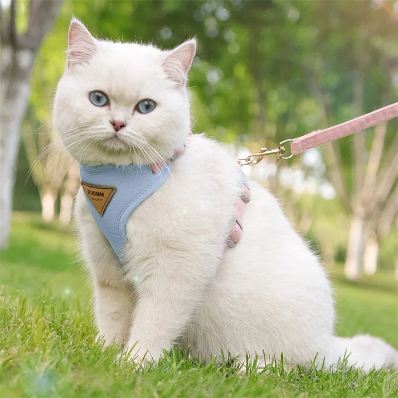 Harnais et Laisse pour Chat et Petit Chien – Prêt pour la balade