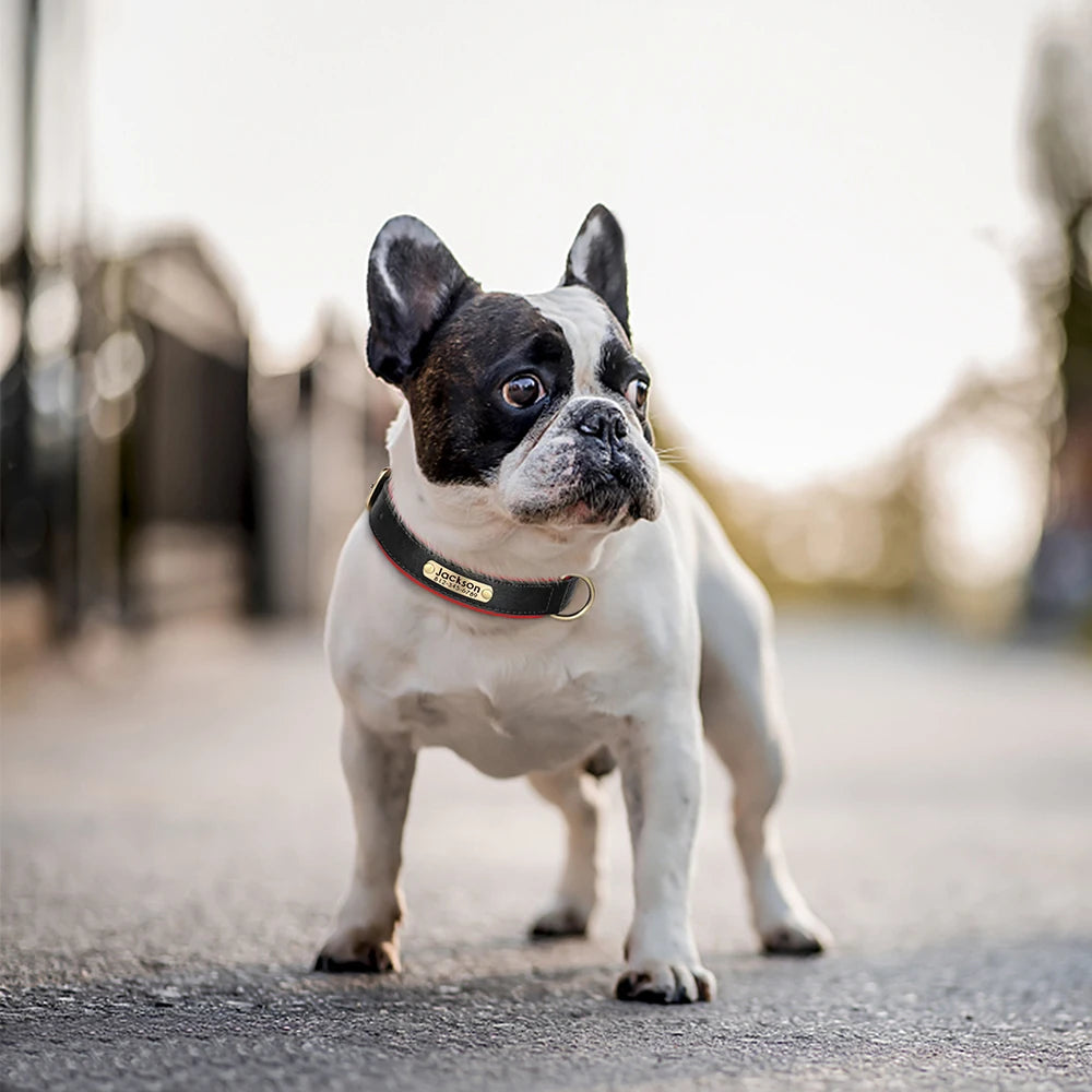 Collier en Cuir PU Personnalisé pour Chien – Chic et personnalisé