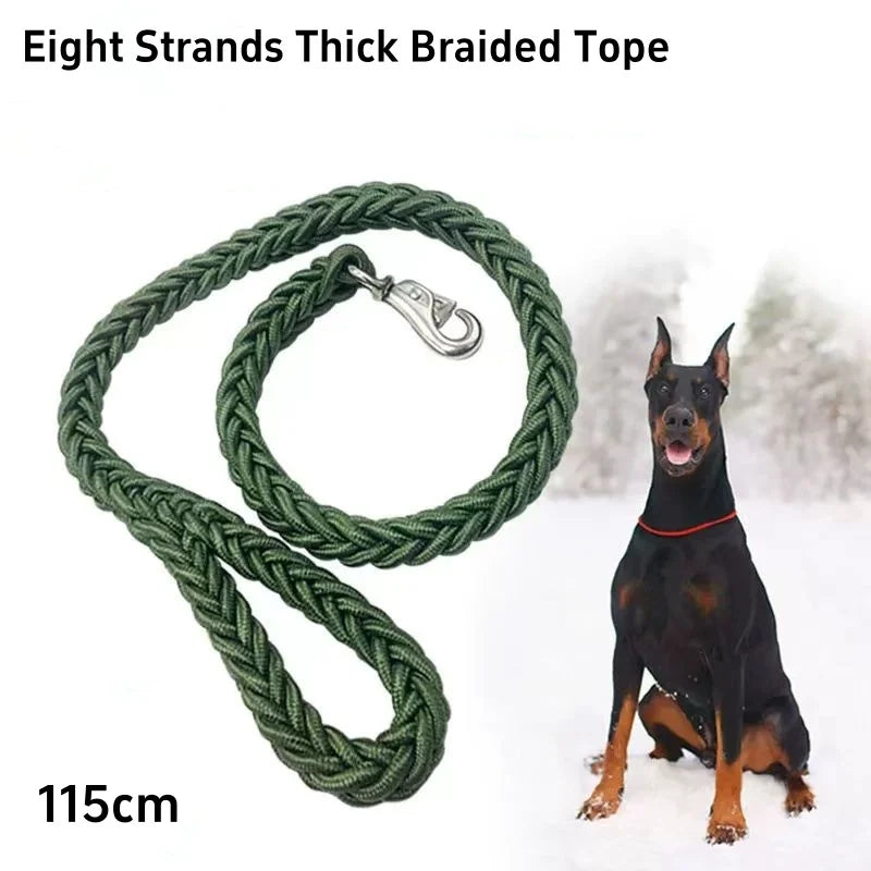 Laisse Tressée en Nylon pour Grand Chien – Solide comme un roc