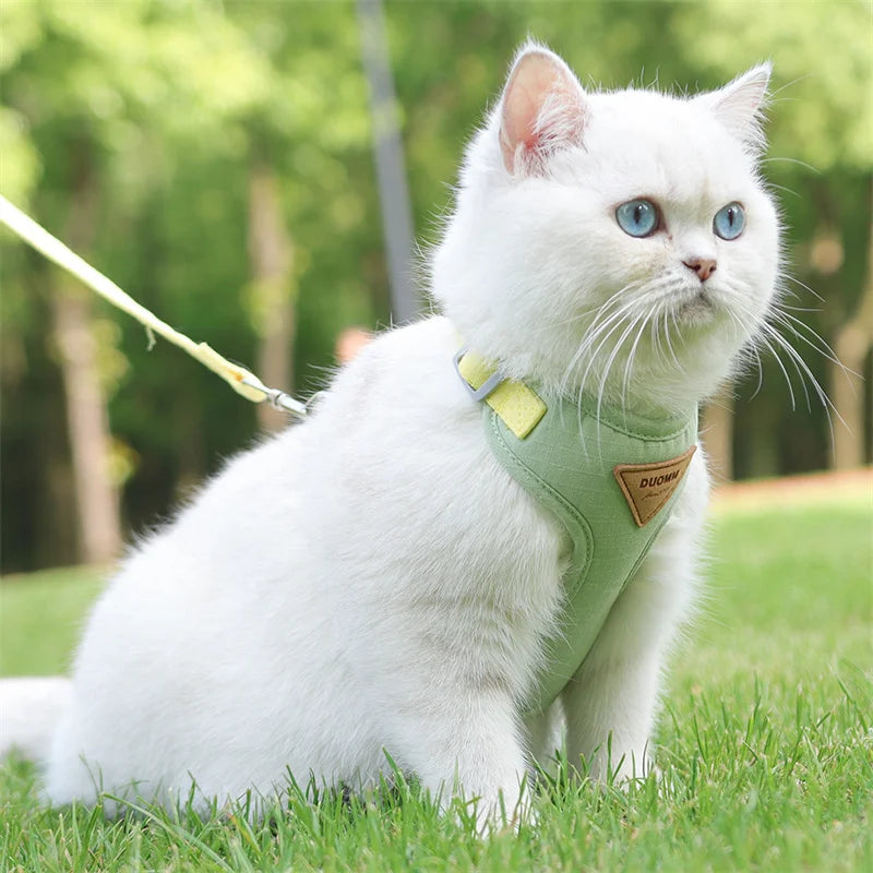 Harnais et Laisse pour Chat et Petit Chien – Prêt pour la balade