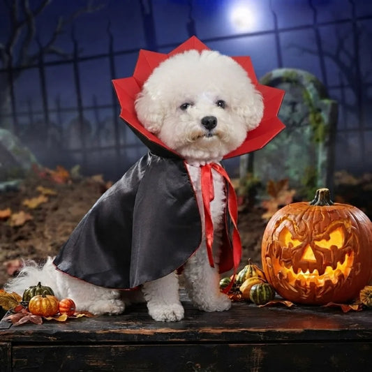 Cape de Vampire pour Chien et Chat – Costume Halloween Dracula