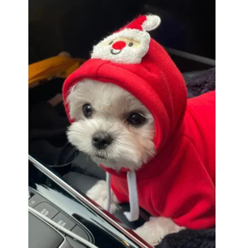 Tenue de Noël pour petits et moyens chiens – Douceur festive