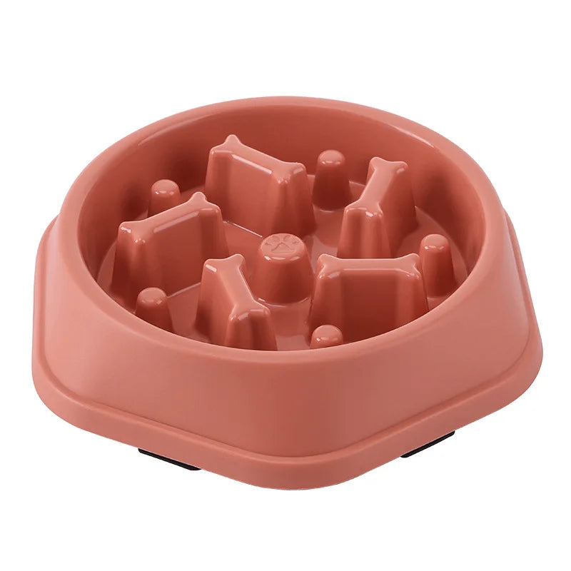 Gamelle Anti-Glouton pour Chien - Alimentation Lente et Saine