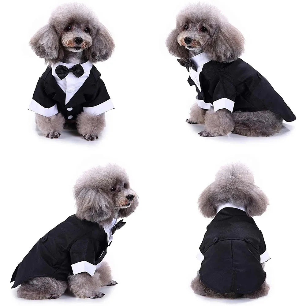 Costume Smoking pour Chien – Le plus élégant de la meute