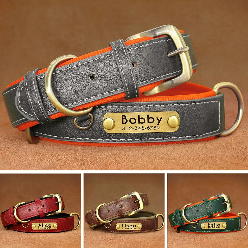Collier en Cuir PU Personnalisé pour Chien – Chic et personnalisé