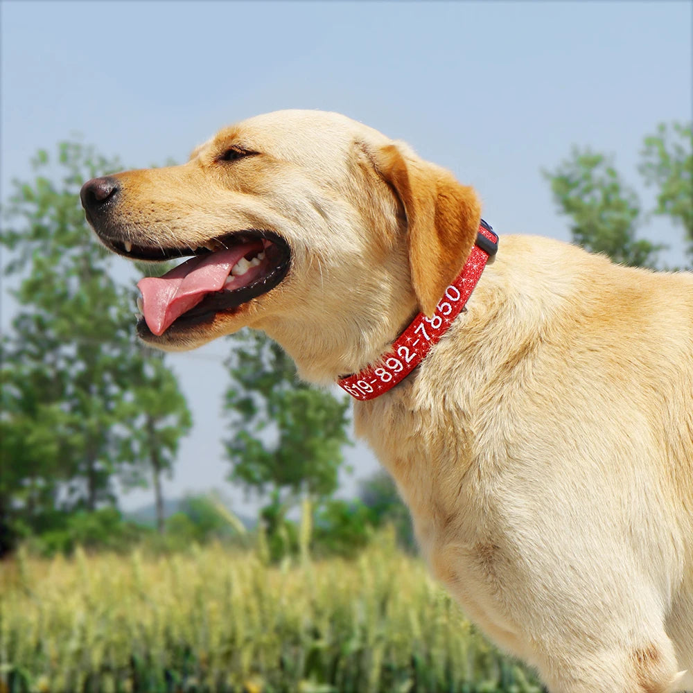 Collier Nylon Brodé Personnalisé pour Chien – Son prénom brodé sur mesure