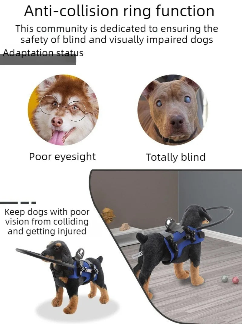Harnais Halo pour Chien Aveugle – Protection Anti-Collision
