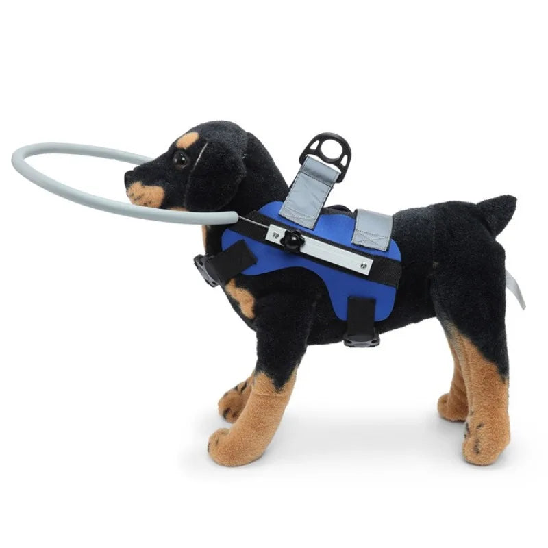 Harnais Halo pour Chien Aveugle – Protection Anti-Collision