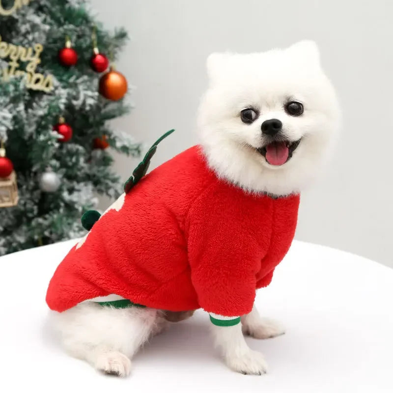 Tenue de Noël pour petits et moyens chiens – Douceur festive