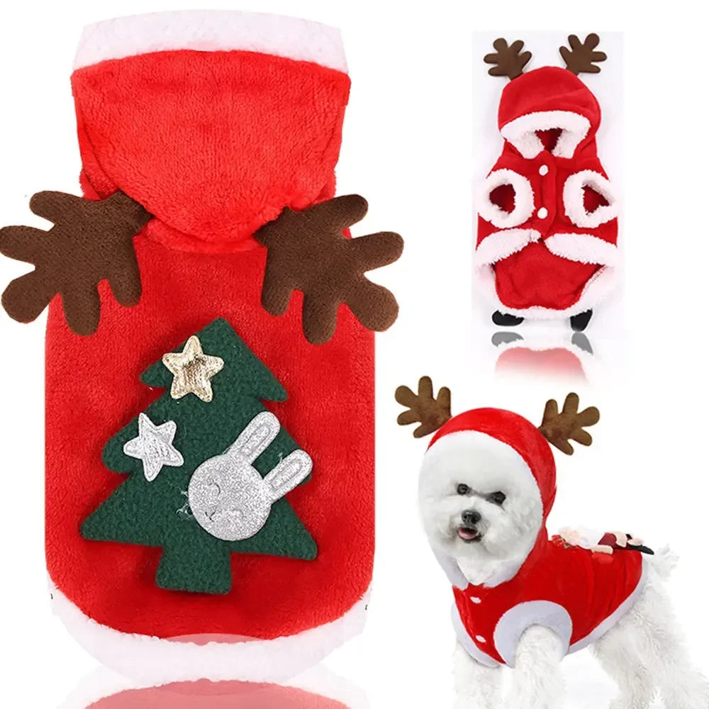 Tenue de Noël pour petits et moyens chiens – Douceur festive