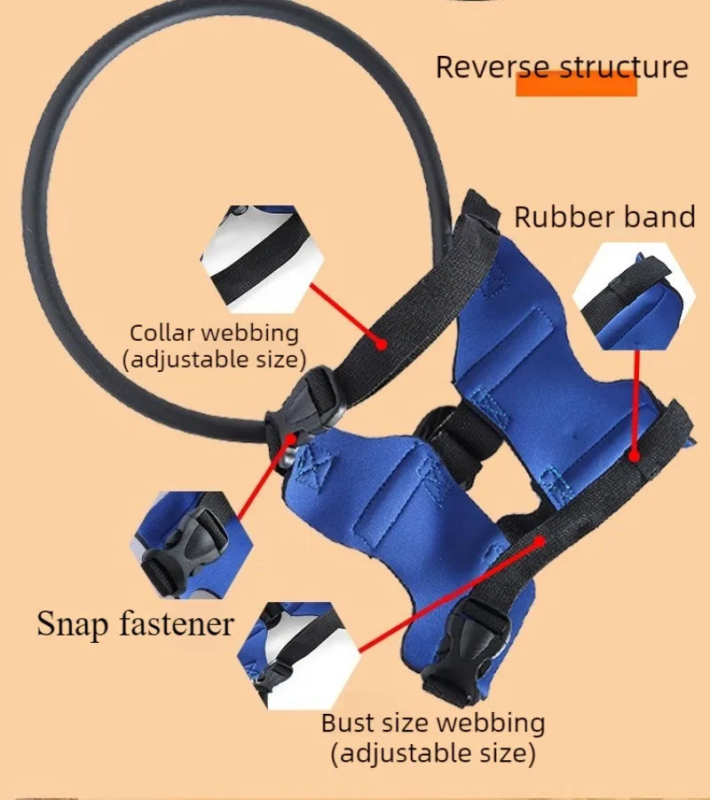 Harnais Halo pour Chien Aveugle – Protection Anti-Collision