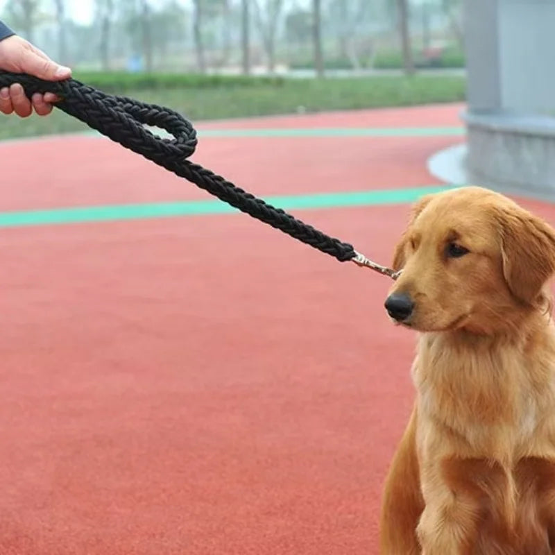 Laisse Tressée en Nylon pour Grand Chien – Solide comme un roc