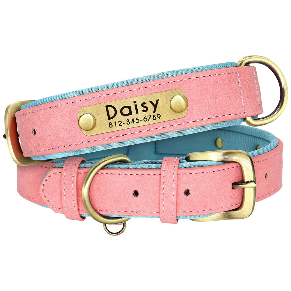 Collier en Cuir PU Personnalisé pour Chien – Chic et personnalisé