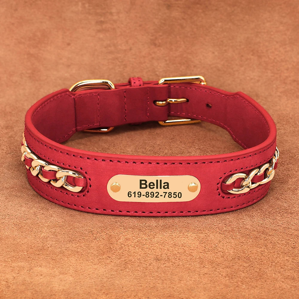 Collier en Cuir Personnalisé pour Chien – Élégant et unique