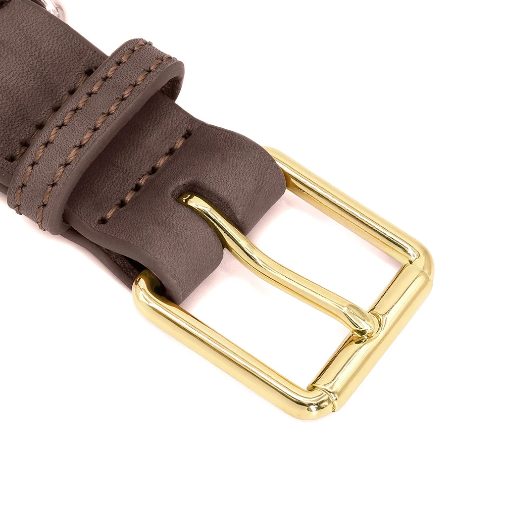 Collier en Cuir Personnalisé pour Chien – Élégant et unique