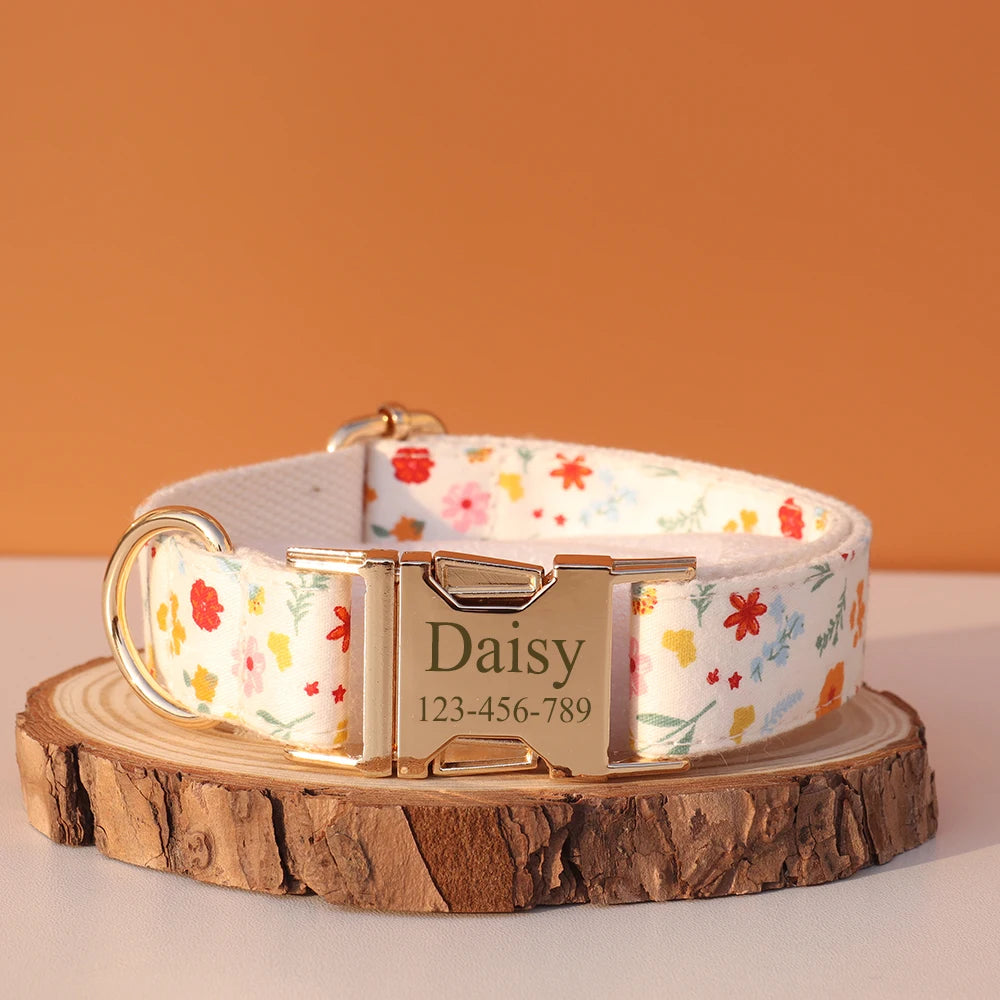 Collier Nylon Fantaisie Personnalisé pour Chien – Fun et personnalisé