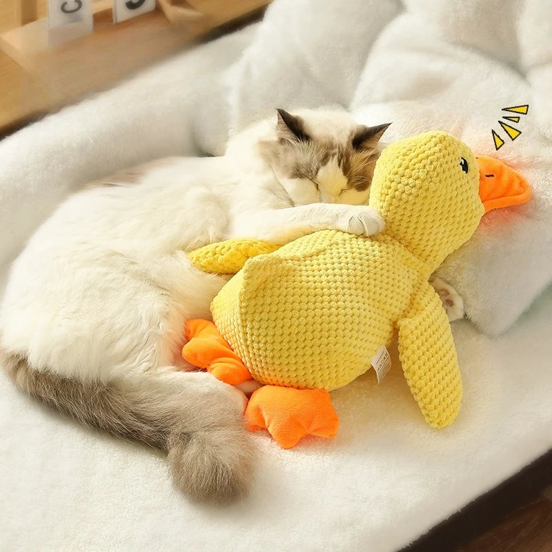 Jouet Sonore en Peluche pour Chien – Il adore, tu adores