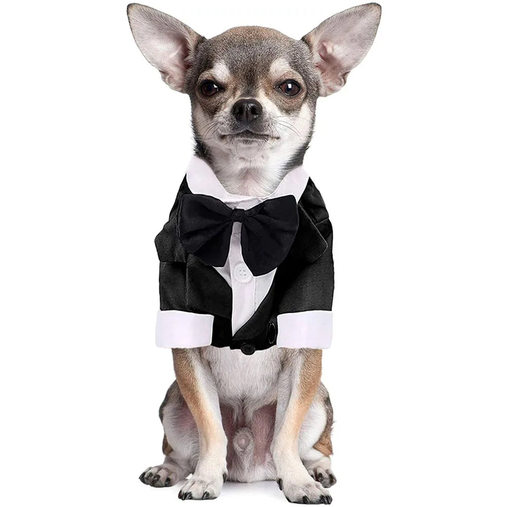 Costume Smoking pour Chien – Le plus élégant de la meute