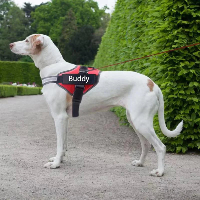 Harnais Gilet Personnalisable pour Chien – Son harnais, son identité