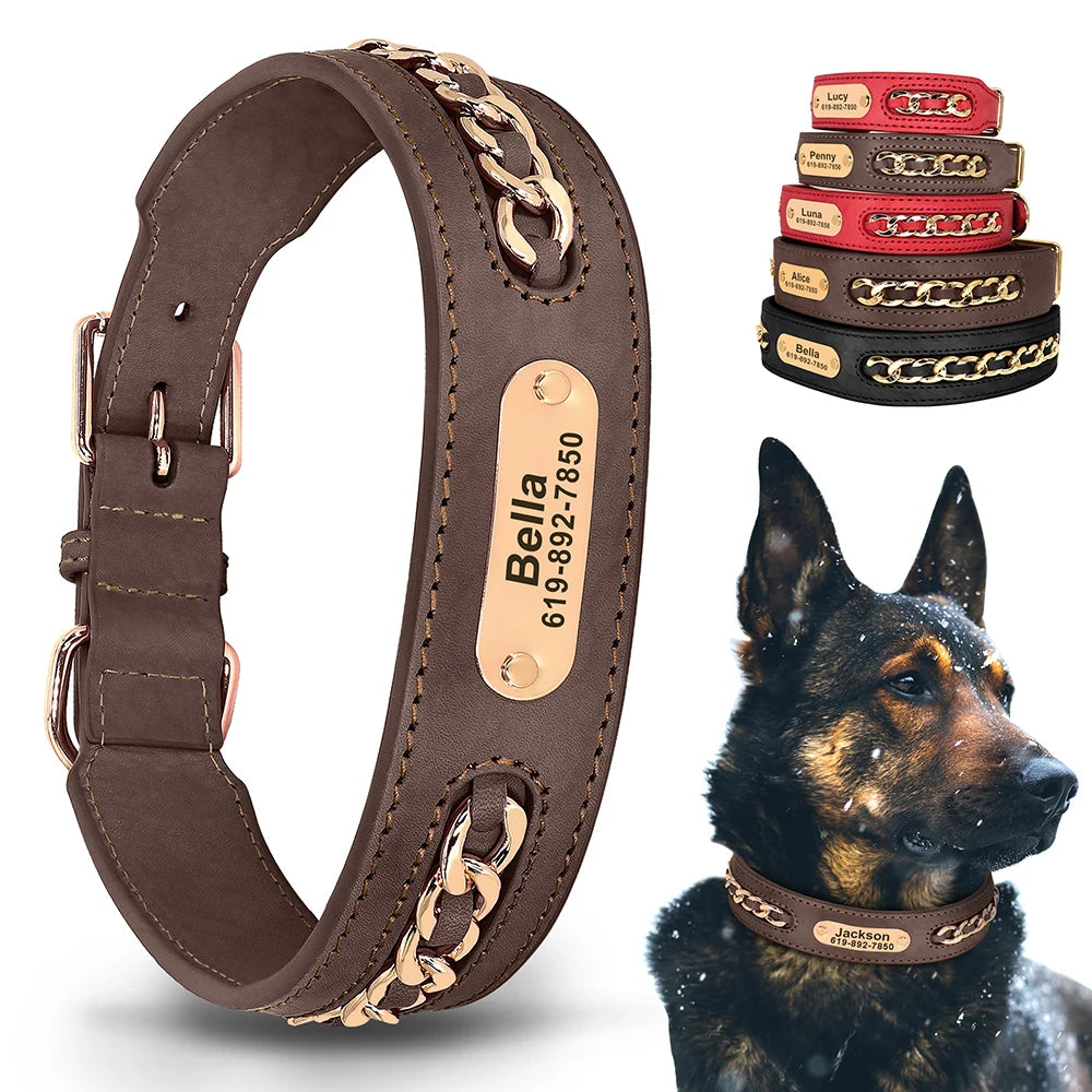 Collier en Cuir Personnalisé pour Chien – Élégant et unique