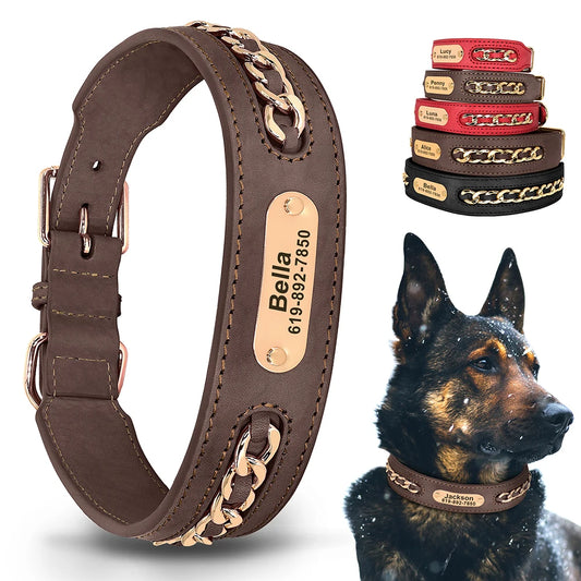 Collier en Cuir Personnalisé pour Chien – Élégant et unique