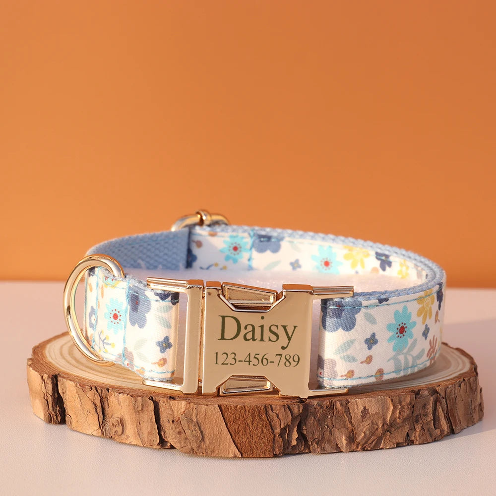 Collier Nylon Fantaisie Personnalisé pour Chien – Fun et personnalisé