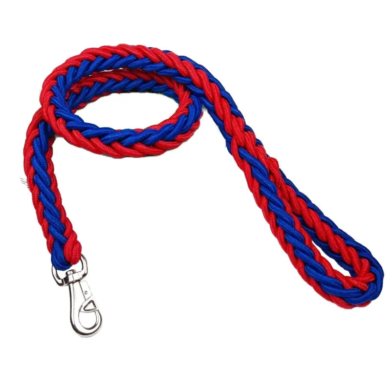 Laisse Tressée en Nylon pour Grand Chien – Solide comme un roc