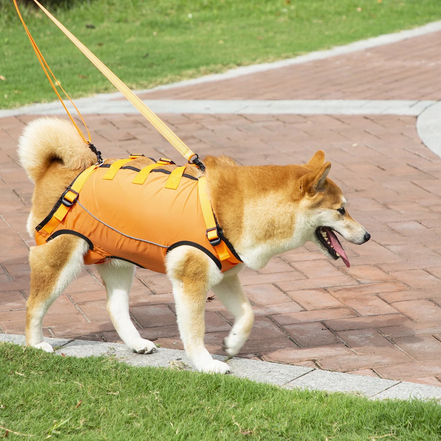 Harnais de Mobilité pour Chien – Soutien Complet 4 Pattes | Rééducation & Senior