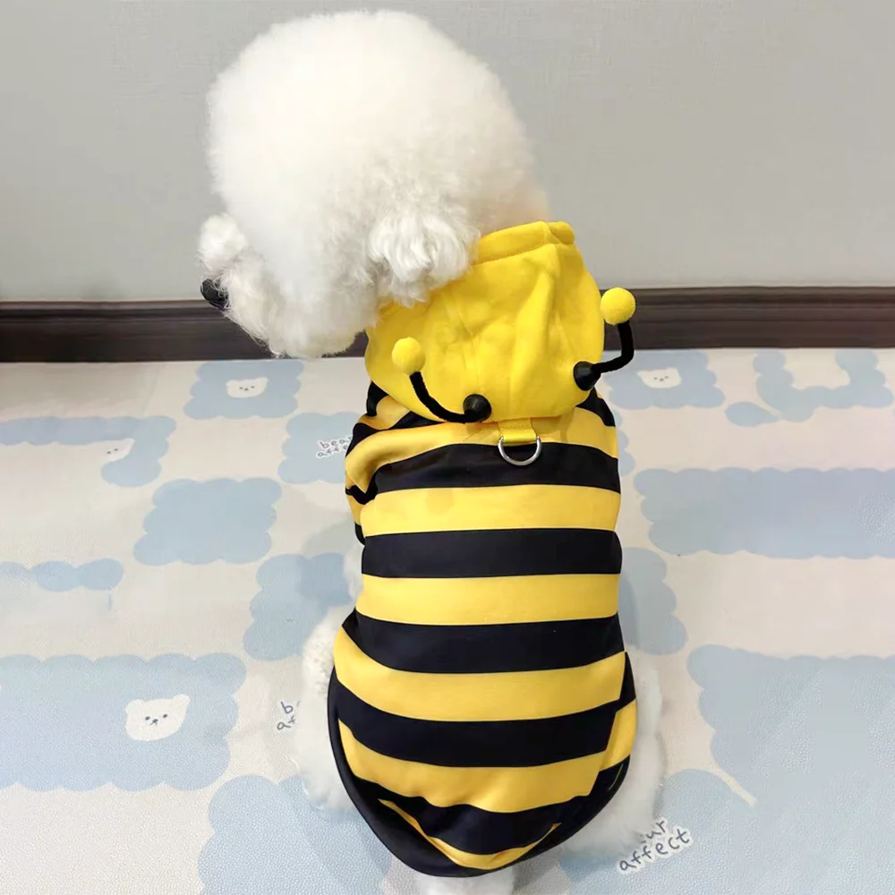 Costume Abeille pour Chat et Chien – Trop mignon pour résister