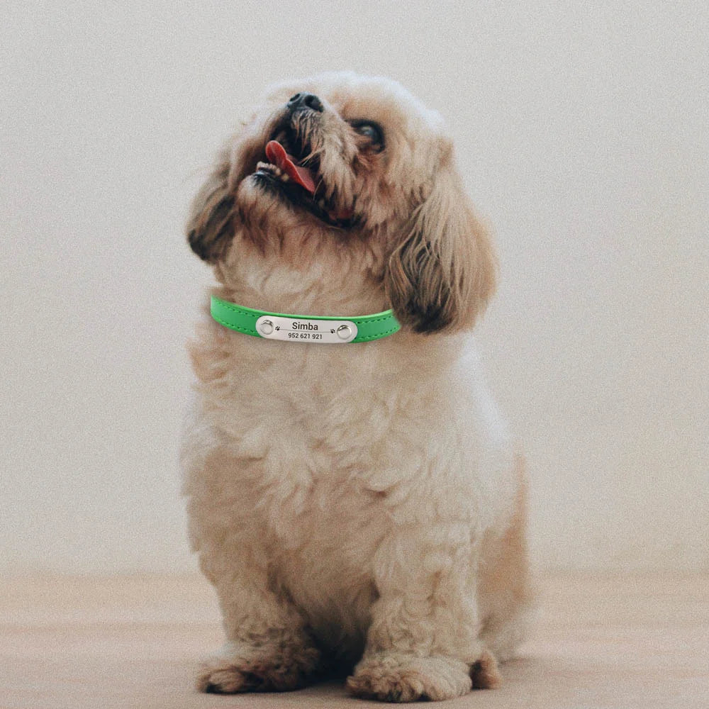 Collier en Cuir PU Personnalisé pour Chien et Chat – Pour eux deux, à leur image
