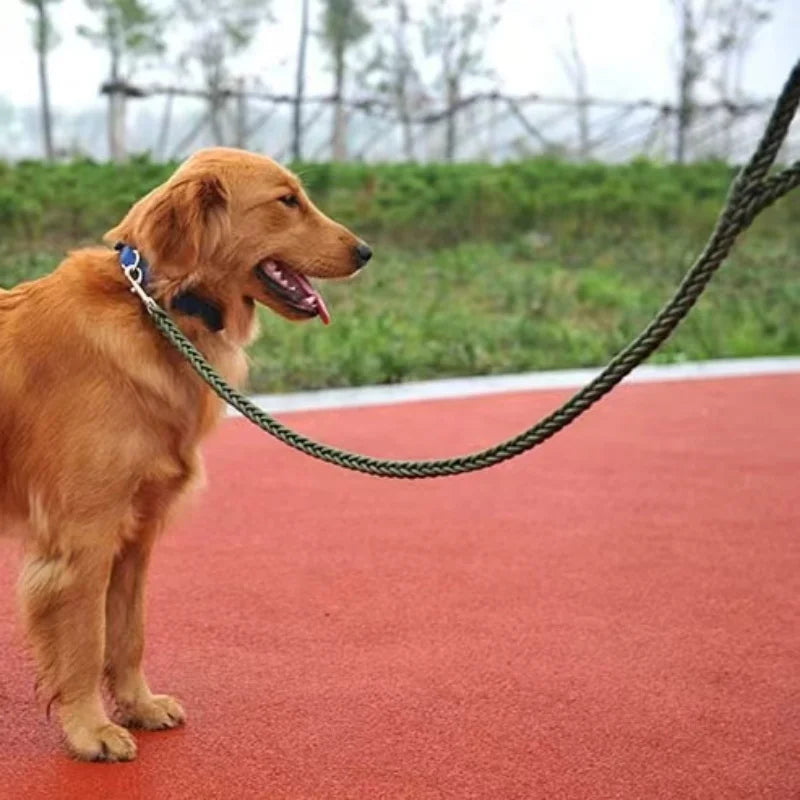 Laisse Tressée en Nylon pour Grand Chien – Solide comme un roc