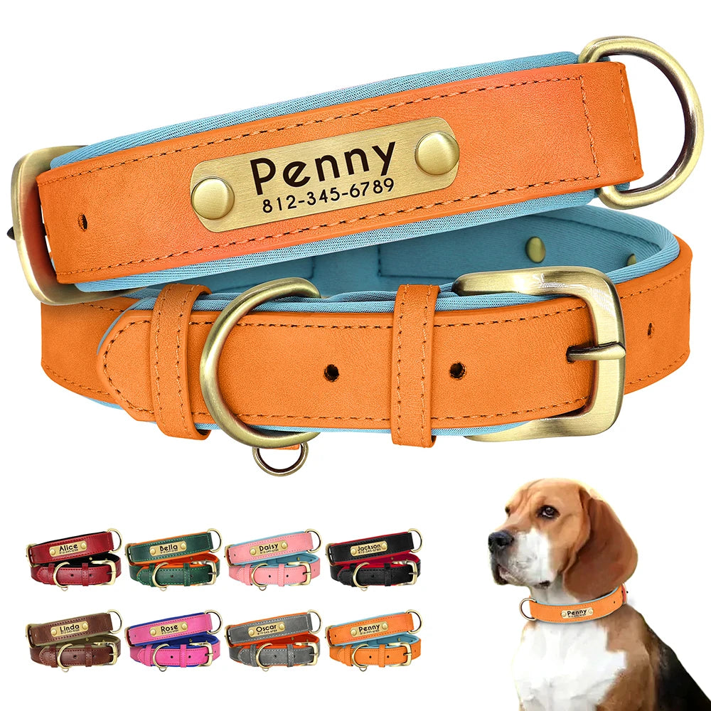 Collier en Cuir PU Personnalisé pour Chien – Chic et personnalisé