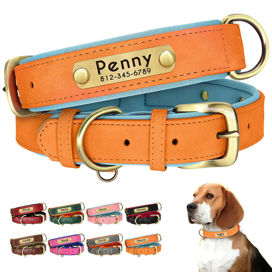 Collier en Cuir PU Personnalisé pour Chien – Chic et personnalisé