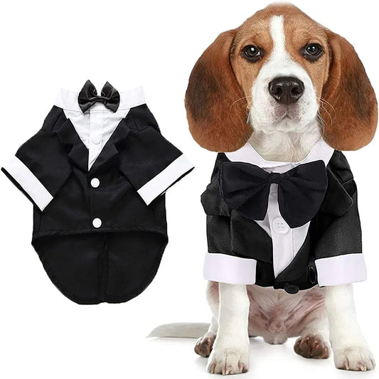 Costume Smoking pour Chien – Le plus élégant de la meute