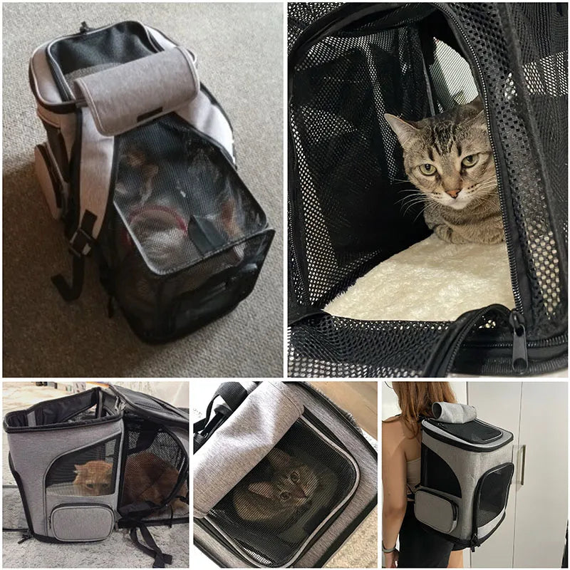 Sac à Dos de Transport pour Chat et Chien – L'aventure ensemble