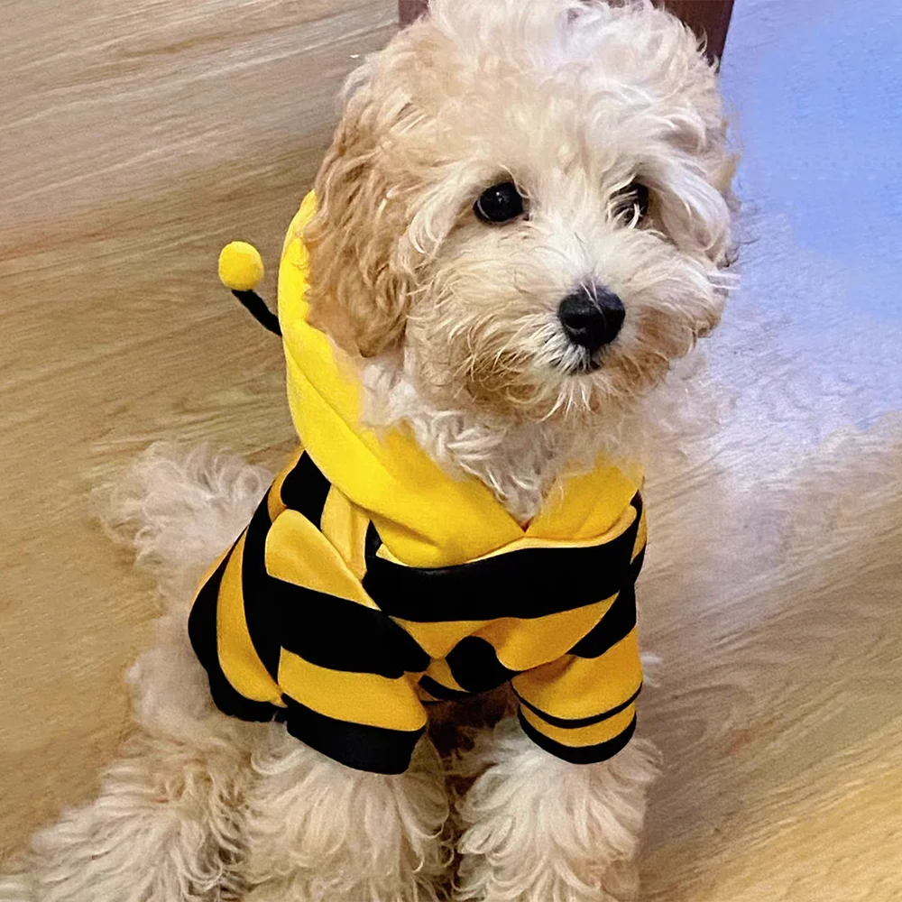 Costume Abeille pour Chat et Chien – Trop mignon pour résister