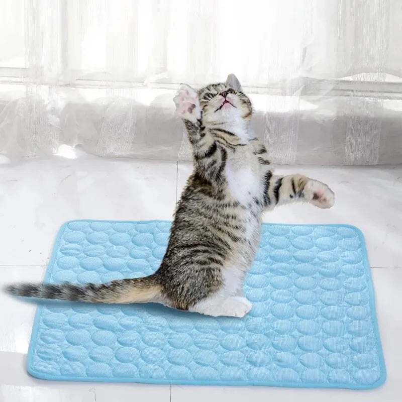 Tapis Rafraîchissant pour Chat et Chien – Frais même en plein été