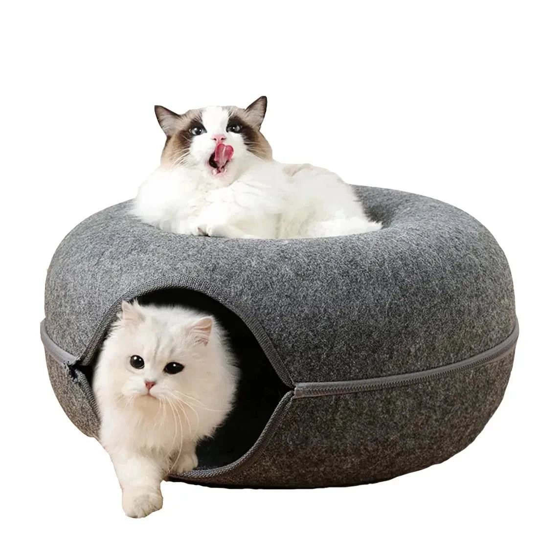 Tunnel Donut pour Chat – Disparaît dedans, ressort fou de joie