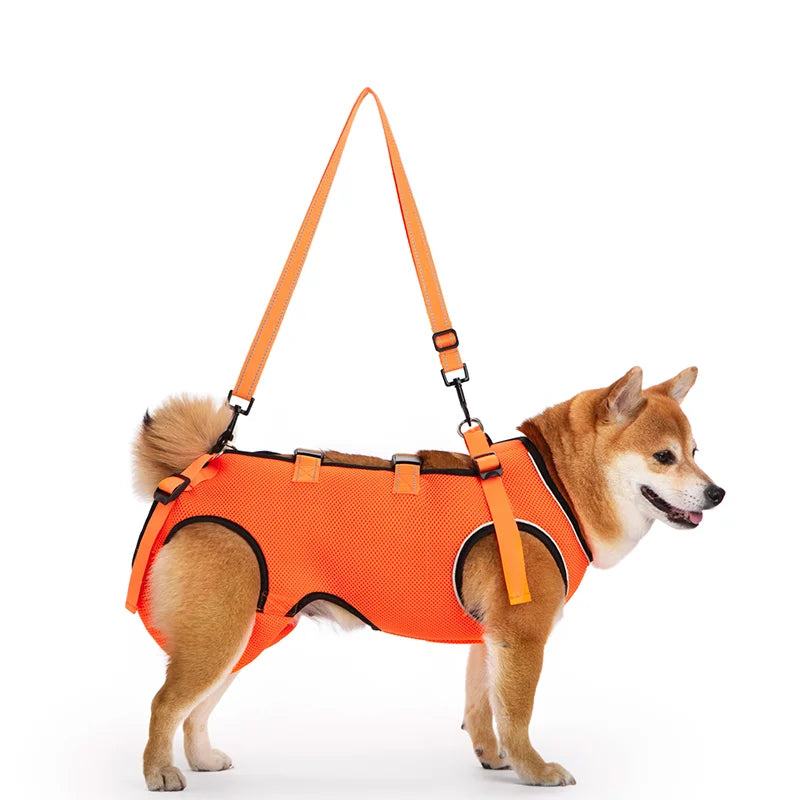 Harnais de Mobilité pour Chien – Soutien Complet 4 Pattes | Rééducation & Senior