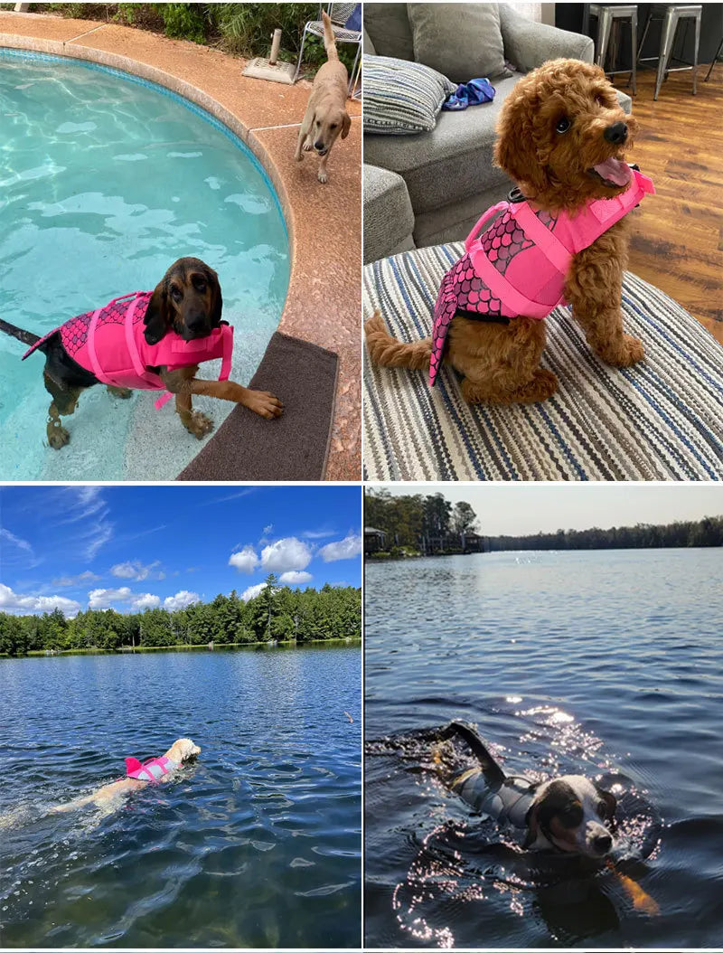 Gilet de Sauvetage Fantaisie pour Chien – Requin ou Sirène 🦈🧜‍♀️