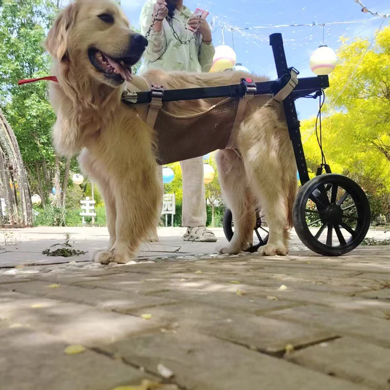 Fauteuil Roulant pour Chien – Réhabilitation Pattes Arrière, Grandes Tailles