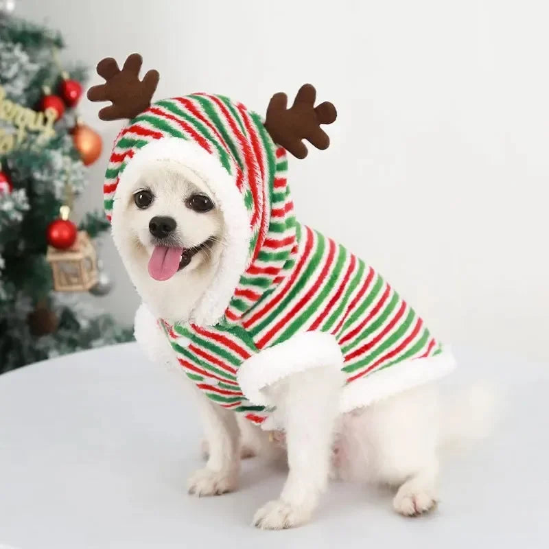 Tenue de Noël pour petits et moyens chiens – Douceur festive