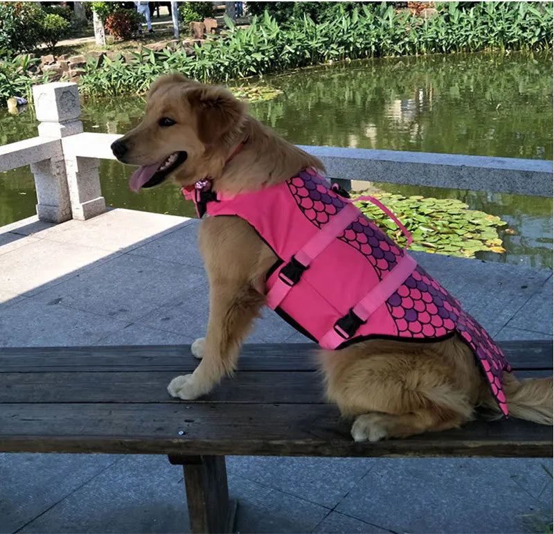 Gilet de Sauvetage Fantaisie pour Chien – Requin ou Sirène 🦈🧜‍♀️