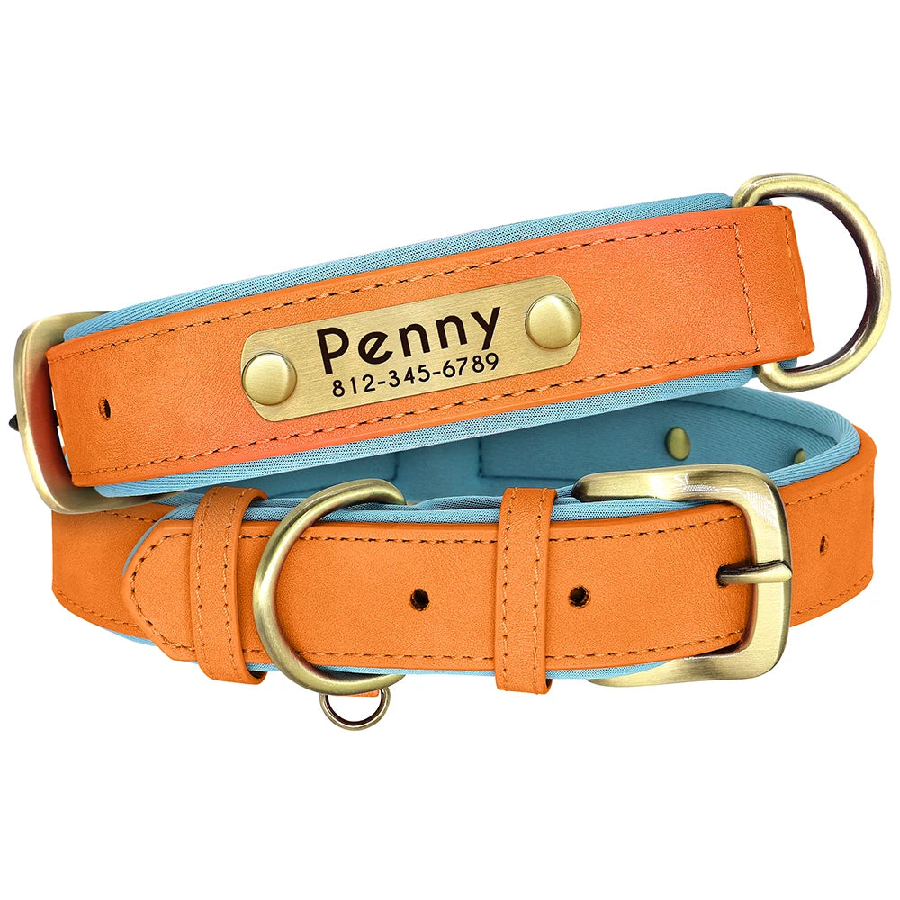 Collier en Cuir PU Personnalisé pour Chien – Chic et personnalisé