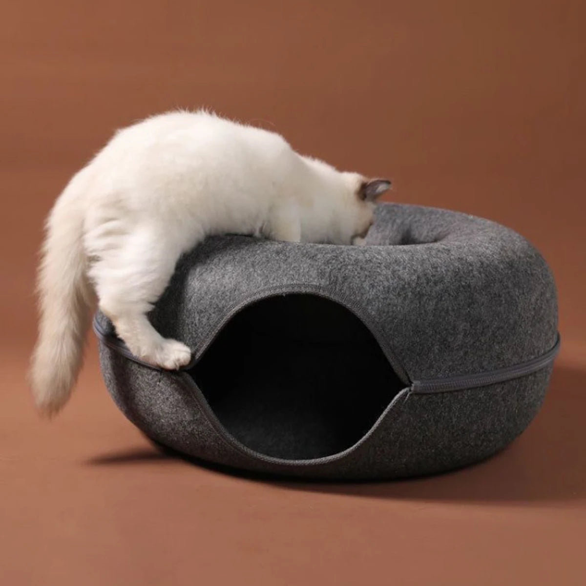 Tunnel Donut pour Chat – Disparaît dedans, ressort fou de joie