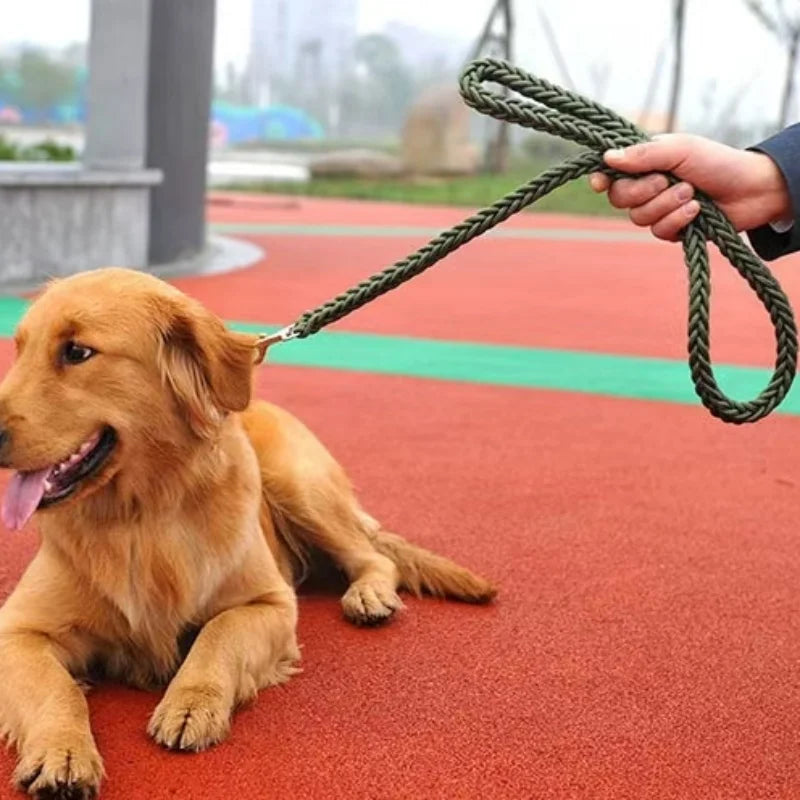 Laisse Tressée en Nylon pour Grand Chien – Solide comme un roc