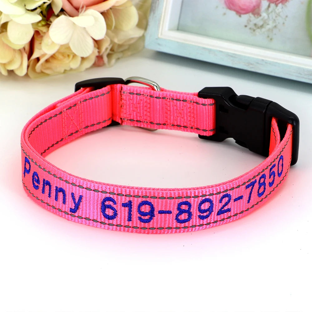Collier Nylon Brodé Personnalisé pour Chien – Son prénom brodé sur mesure